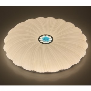 Lumina de tavan CX202