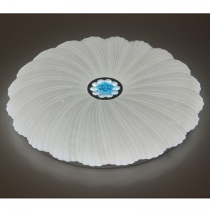 Lumina de tavan CX202