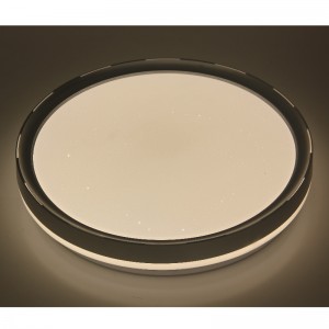 Lumină de tavan CX236