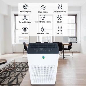 Purificator dublu (purificare activă + purificare pasivă)