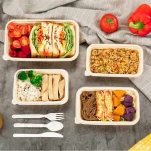 Recipiente de depozitare a alimentelor de unică folosință, compostabile, ecologice, cu formă pătrată, amidon de porumb de luat, recipient pentru alimente biodegradabil