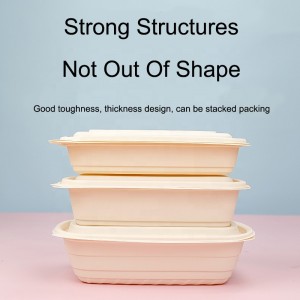 Biodegradabil amidon de porumb cutie de ambalaj alimentar alimentar dreptunghi recipient alimentar prânz cutie degradabil