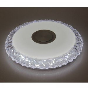 MU103 Lumina plafonului