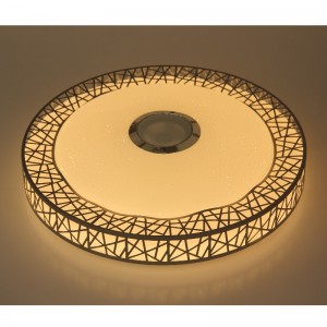 MU105 Lumina plafonului