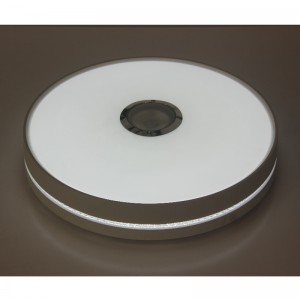 MU111 Lumina plafonului