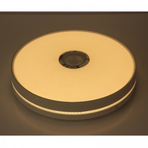 MU111 Lumina plafonului