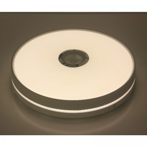 MU111 Lumina plafonului