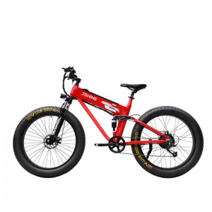 S2-x2 EBIKE
