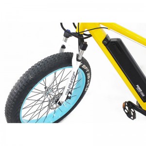 Denumirea produsului S1-X1