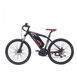 Denumirea produsului S6-Z1