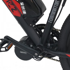 Denumirea produsului S6-Z1