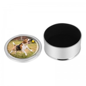 Urna metalica pentru cenusa de caine