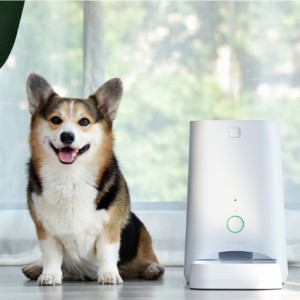 6L APP Alimentator pentru animale de companie