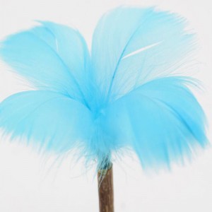 Lollipop de pahar Cat Mint