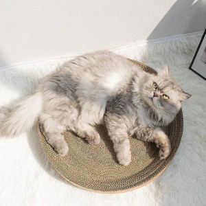 Cireșe pisica apucă castron