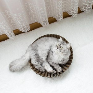 Hîrtie de floarea-soarelui Cuit cuib de zgârieturi