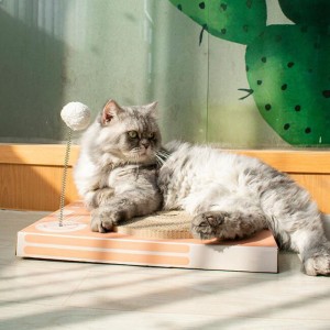 Cat costum Cat Scratch Board