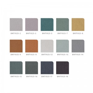 Tehnologie imitație din piele de piele BNT1925