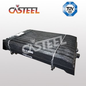 Cedarapide CJ3042 Placa maxilarului, maxilarul maxilarului, falsul fixat