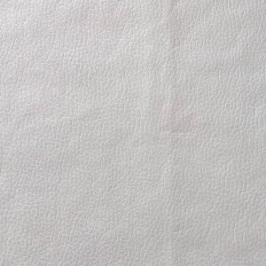 Tehnologie de imitație din piele BNT1936