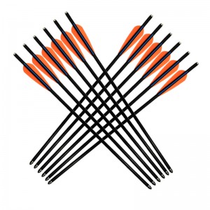 Elong Outdoor 117001 17Inch 8850 Fiberglass Bolt cu arcul de fotografiere Echipamente de fotografiere CrossBow Bolt