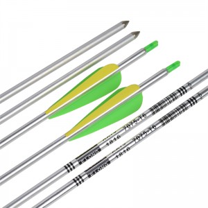 Elong Outdoor 116062 30inch SP650 Aluminiu arrow Culoare de argint pentru arcul arcul