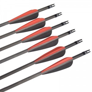 Elong Outdoor 113024 ID6.2MM SP400 Fibra de carbon arrow Tir cu arcul în aer liber Sport