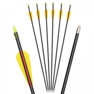 Elong Outdoor 115549 26inch id5mm Fiberglass arrow Tir cu arcul Recurve Bow Fotografiere folosind