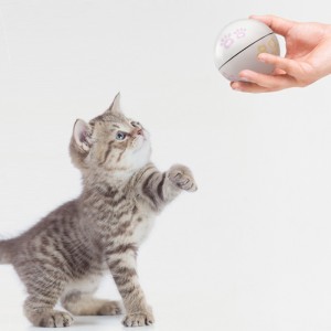 Jucarii cu bile de cat interactive