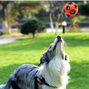 LED-uri plutitoare jucării pentru câini