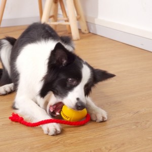 Cauciuc scurgeri de câini de gustare