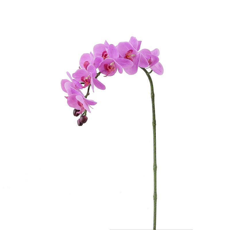 de înaltă calitate, atingând o singură ramură artificială orhidee pentru vânzare