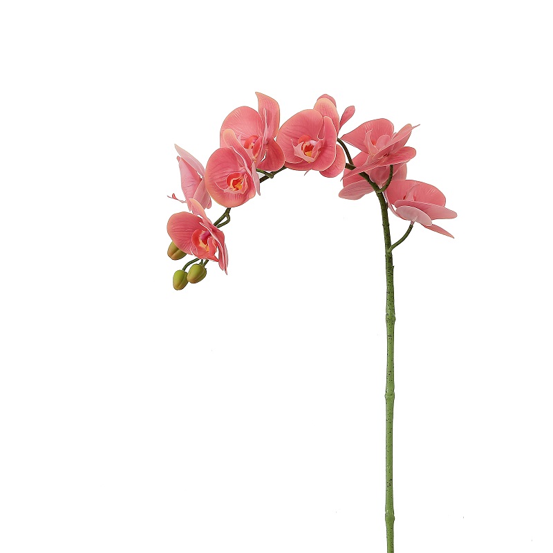 de înaltă calitate, atingând o singură ramură artificială orhidee pentru vânzare