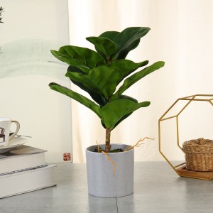 VÂNZAREA MAI BUNĂ PLATA AUTOGIALĂ REAL ÎN POT