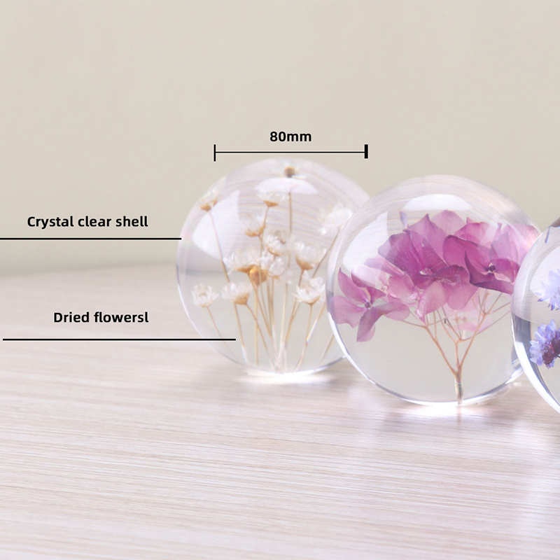 Personalizat 3d 7cm 8cm 9cm rășină orb plantă de florinaturale reale Dandelion Real Hârtie pentru cadouri de Crăciun Crystal Glass Decor pentru casă