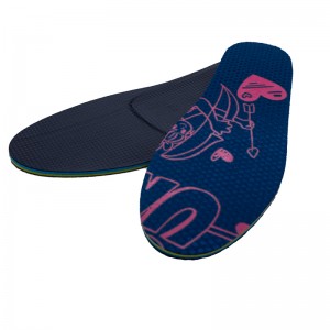 INSOLUL TEMOPLASTIC MODAT