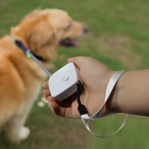 Portable Walking Lesa Mini Retractable Dog Lesa pentru pisici pentru câini mici