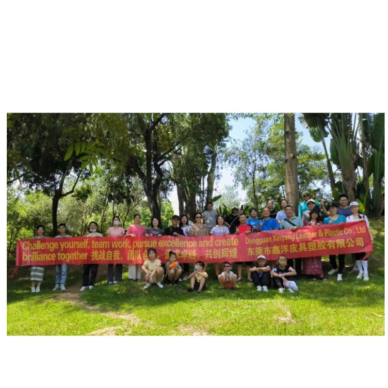 Entuziasmul partenerilor de construcție a echipei companieinu este redus, la fel ca soarele din iulie. Haide