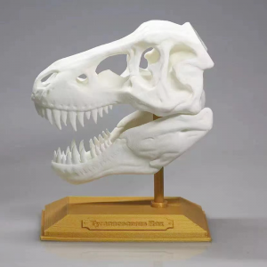 Serviciul de imprimare plastică 3d, prototipul imprimantei 3d Sls