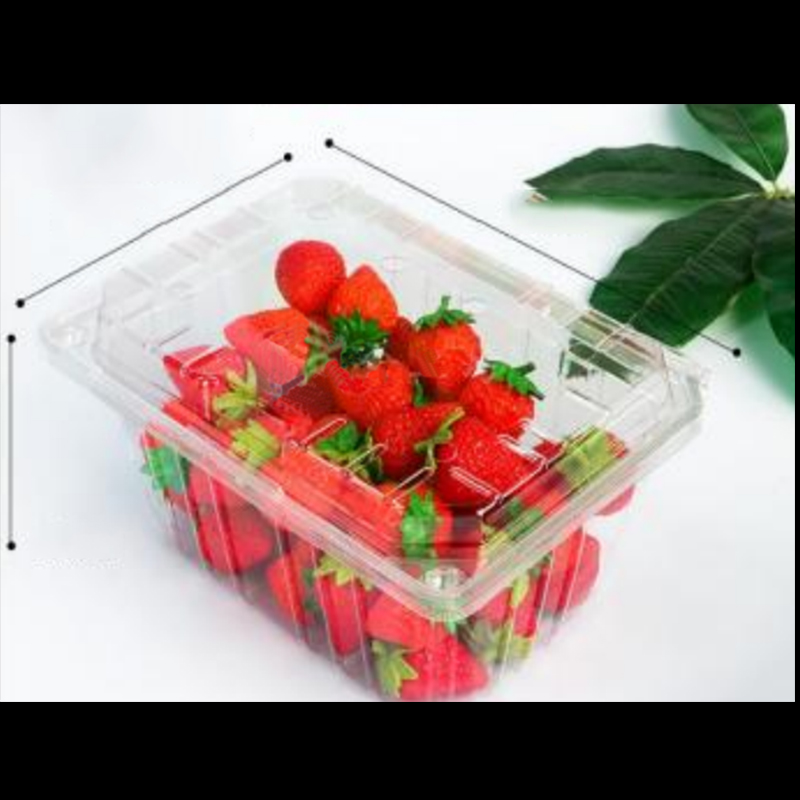 Cutie de fructe cu capac 210*155*100 mm HGF-950A