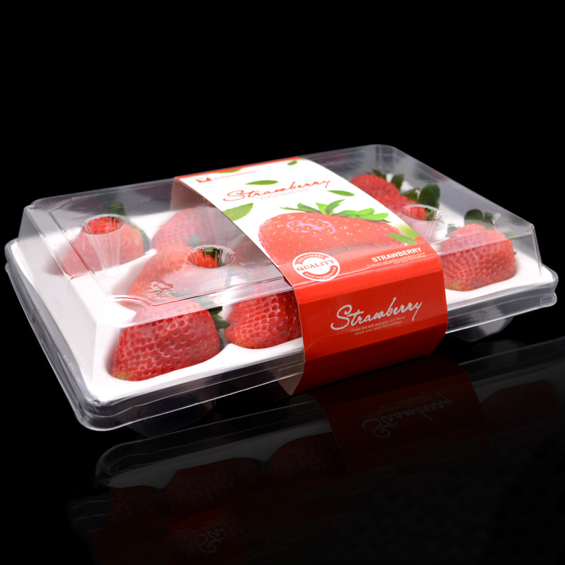 Strawberry Box (11 căpșuni) 225*120*40 mm cm-11