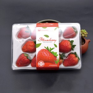 Strawberry Box (11 căpșuni) 225*120*40 mm cm-11