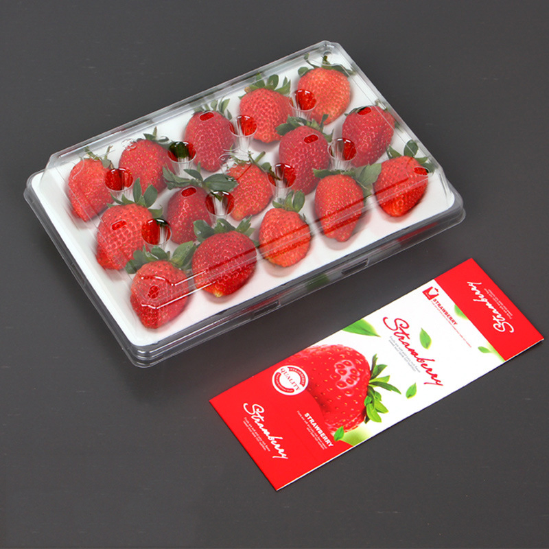 Strawberry Box (15 căpșuni) 225*120*40 mm cm-15
