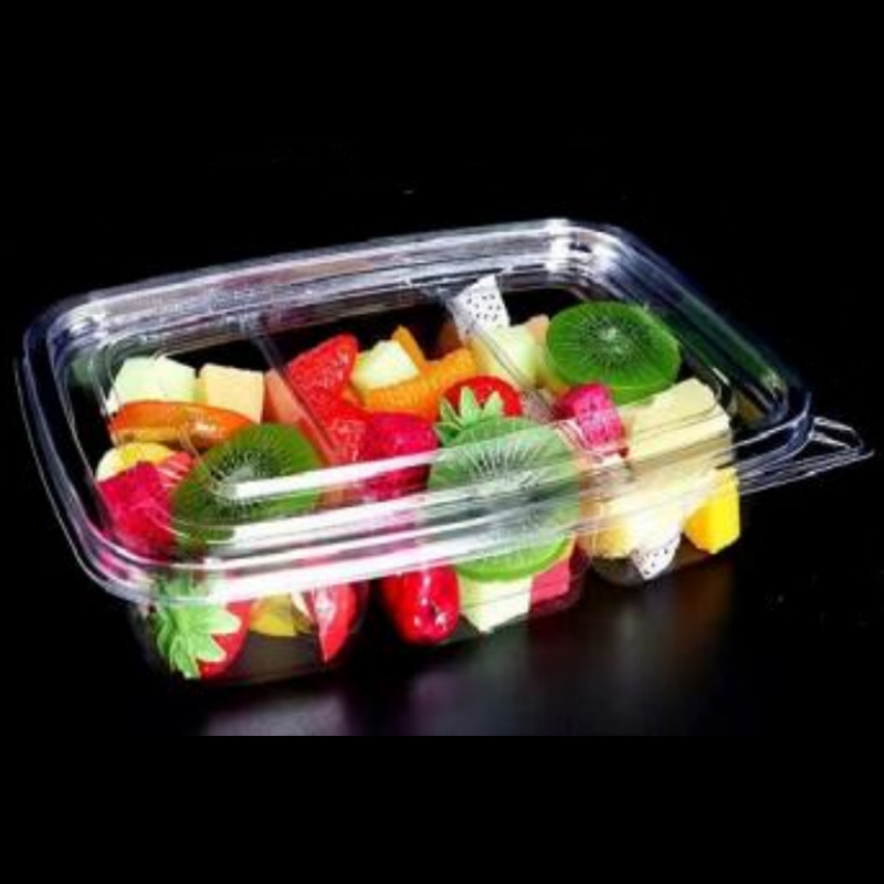 Trei-COMPARTMENT SALAD Box Bottom 245*175*45 mm HGF-fg3