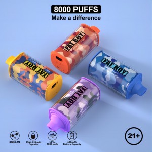 Elfworld Reload 8000 Puffs Fluum Vape Juice E Liquid Voltbar Type-C VAPE de unică folosință Reîncărcat