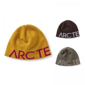 logo -ul personalizat Jacquard pentru bărbați beanie capace de lână pălării de iarnă