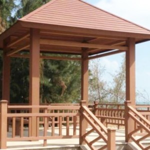 PE Mucegai de extrudare din plastic din lemn