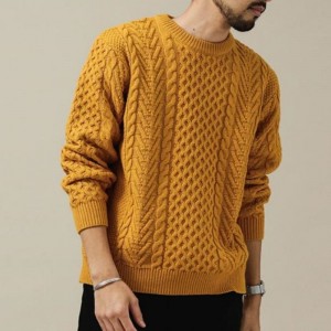 Culoare solidă Jumper Elegant Jumper Tricotat Men