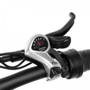 20inch Fat Tire Electric Bike