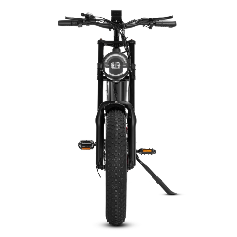 20inch Fat Tire Electric Bike